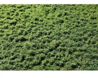 LAYERED_TUFTS_WEEDS_2_2MM_SUMMER