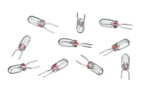 M_rklin_E610080___10_LAMP_MET_2_STEEKPOOTJES__19V
