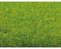 Noch_00260___GRASMAT_VOORJAARSWEIDE__120_X_60_CM