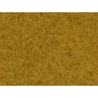 Noch_07096___WILDGRAS_XL_BEIGE_80_G