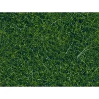 Noch_07099___WILDGRAS_XL_DONKERGROEN_80_G