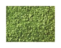 Noch_07152___LOOF_LICHTGROEN_100_GR