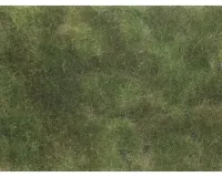 Noch_07251___BODEMBEDEKKER_FOLIAGE_OLIJFGROEN_12_X_18_CM