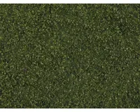 Noch_07301___LOOF_FOLIAGE_DONKERGROEN