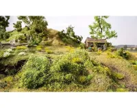 Noch_07311___PROFI_STRUIKEN_DONKER_GROEN