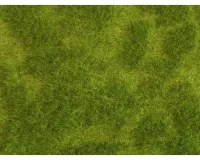 Noch_07470___NATUR___WEELDERIGE_WEIDE__25_X_25_CM