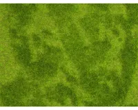 Noch_07471___NATUR___RIETWEIDE__25_X_25_CM