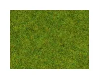 Noch_08150___GRAS_VOORJAARSWEIDE_2_5MM