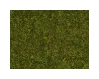 Noch_08152___GRAS_WEIDE_2_5_MM
