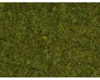 Noch_08312___GRAS_WEIDE_2_5_MM