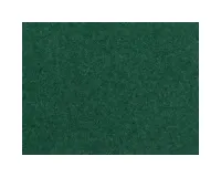 Noch_08321___GRAS_DONKERGROEN_2_5_MM
