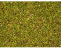 Noch_08330___GRAS_BLOEMENWEIDE_2_5_MM