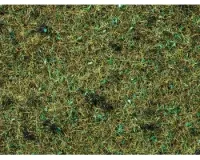 Noch_08350___GRAS_BOSBODEM_2_5_MM