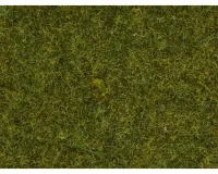 Noch_08361___GRAS__WIESE__4_MM