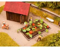 Noch_13219___POMPOENEN