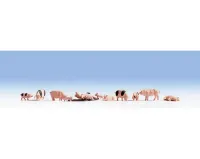 Noch_15712___VARKENS