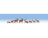Noch_15742___ALPEN_DIEREN