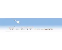 Noch_15774___ZWANEN_EN_EENDEN