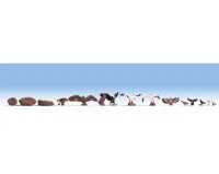 Noch_15775___VOGELS