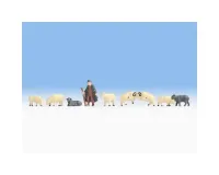 Noch_18210___HERDER_MET_SCHAPEN