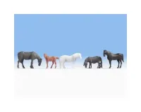 Noch_18215___PAARDEN