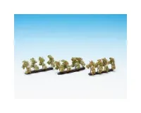 Noch_21537___PLANTAGEBOMEN_MET_APPELS__24_STUKS__2_CM_HOOG