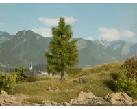 Noch_21816___DEN