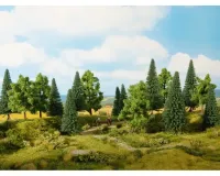 Noch_24623___GEMENGD_BOS_16_BOMEN__4__10_CM