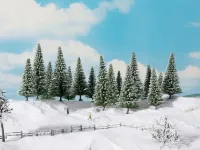 Noch_24680___SNEEUWDENNEN_8_STUKS__10_14_CM