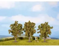 Noch_25113___3_APPELBOMEN_8_CM