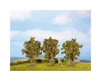 Noch_25513___APPELBOMEN_3_STUKS_4_5_CM