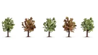 Noch_25615___FRUITBOMEN_BLOEIEND__5_STUKS_