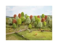 Noch_26806___VOORJAARSBOMEN__25_STUKS__5___9_CM_HOOG
