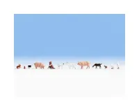 Noch_36711___BOERDERIJ_DIEREN