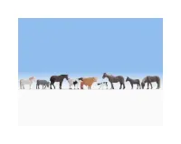 Noch_36713___BOERDERIJ_DIEREN