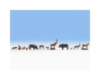 Noch_36745___BOS_DIEREN