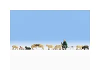 Noch_36750___HERDER_MET_SCHAPEN