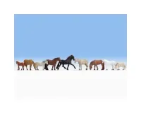 Noch_36761___PAARDEN