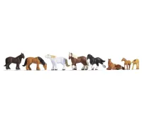 Noch_36762___KOUDBLOED_PAARDEN