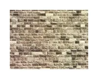 Noch_57530___MUURPLAAT_BASALT_32X15CM