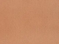 Noch_60360___DAKBEDEKKING_BIBERSCHWANZ_ROOD