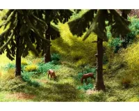 Noch_60772___VEGETATIE_STARTSET__BOS_