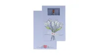 Noch_99506___GESCHENKDOOS__BETERSCHAP___1