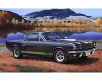 Revell_7242___SHELBY_MUSTANG_GT_350_H