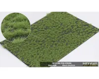 TUFTS_2MM_SPRING