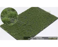 TUFTS_2MM_SUMMER