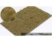 TUFTS_4_5MM_GOLDEN_SUMMER