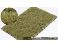 TUFTS_6MM_FALL
