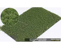 TUFTS_WEEDS_2MM_SUMMER