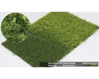 TUFTS_WEEDS_6MM_SPRING
